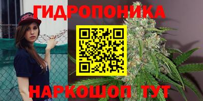 винт Будённовск