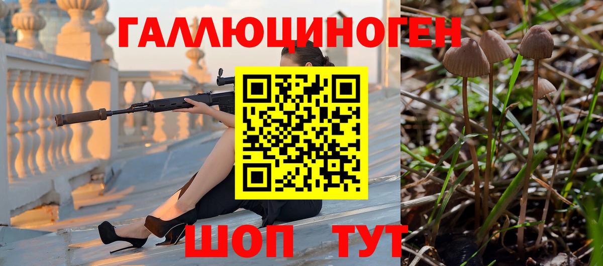 Псилоцибиновые грибы Cubensis Крымск