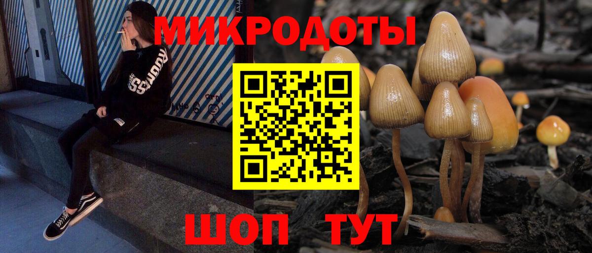 Галлюциногенные грибы Cubensis  Вход с VPN  Крымск 